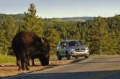 Custer Area Attractions